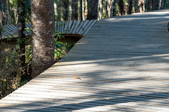 Aerial view looking down on Viewing Platform of Bridge
